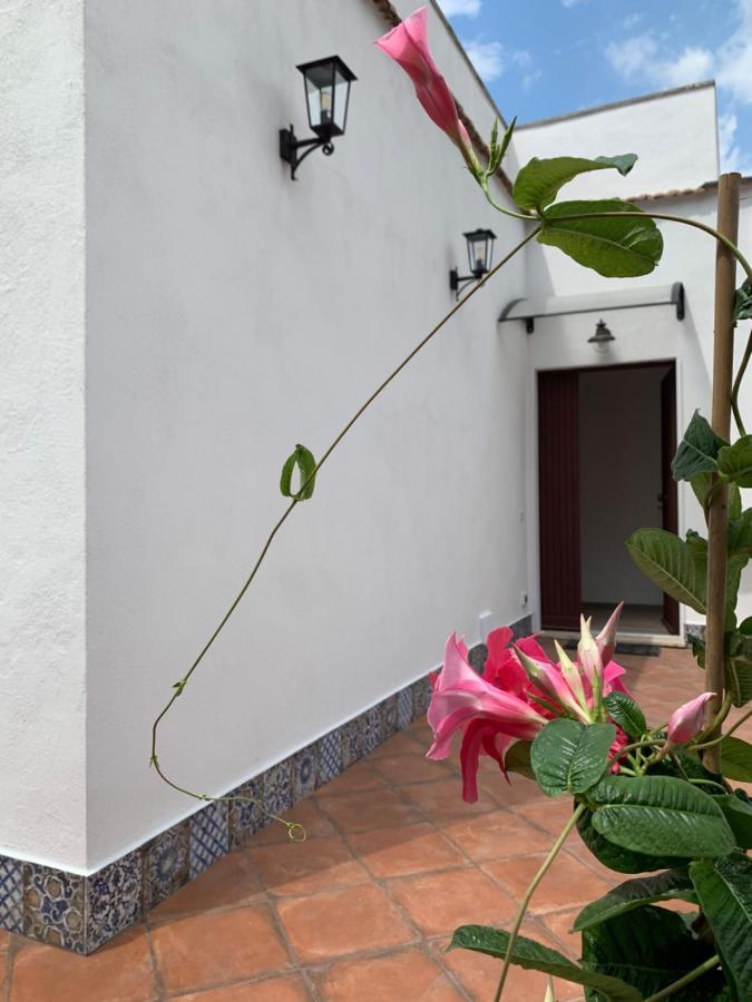 Villa Giuseppina Terracina Exterior photo